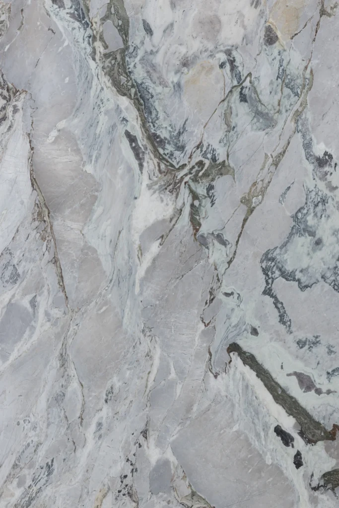 Breccia Portovenere Marble Vertical