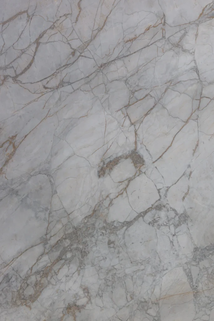 Calacatta Matarazzo Dolomite Vertical