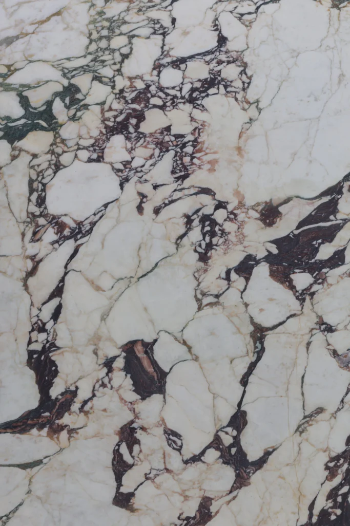 Calacatta Viola (Italian) Marble Vertical
