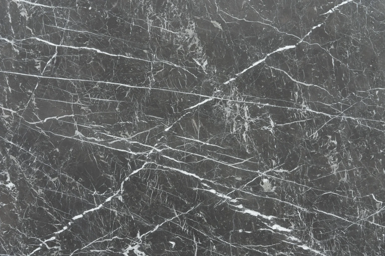 Grigio Carnico Marble
