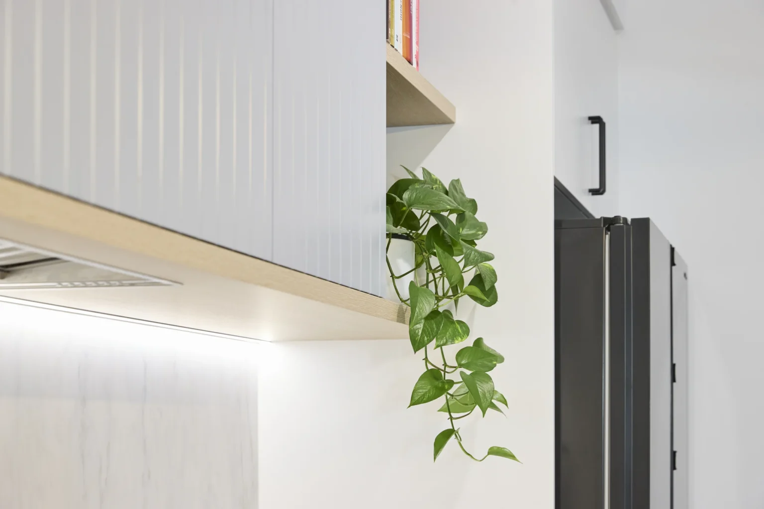 KP 015 50B Abbin Ave Bentleigh East 060625