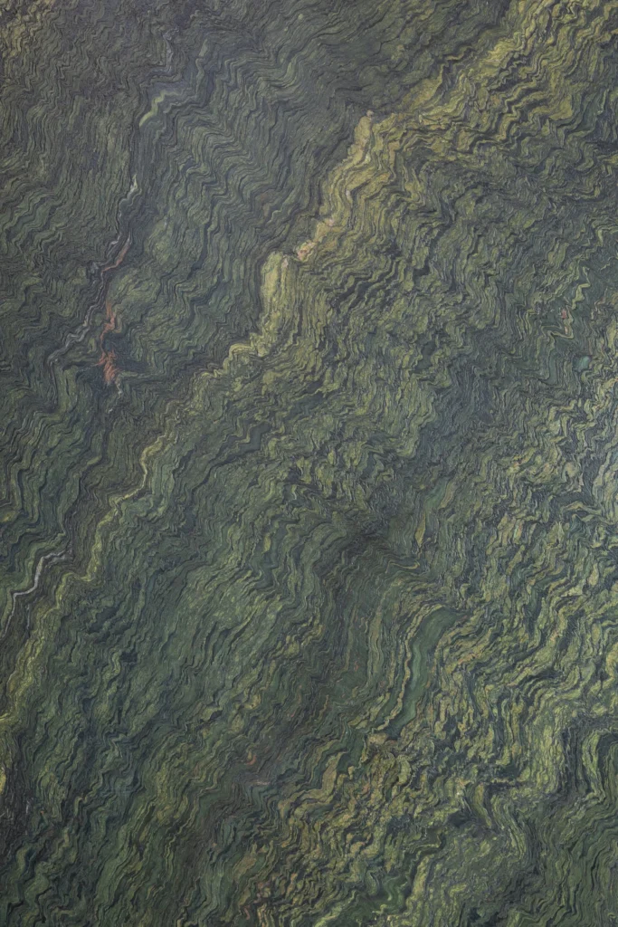 Verde Picasso Granite Vertical